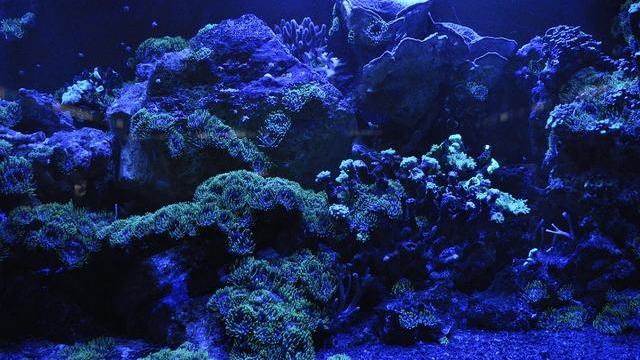 代拍承认在地下车库蹲到两点，律师函还停在「可能构成骚扰」